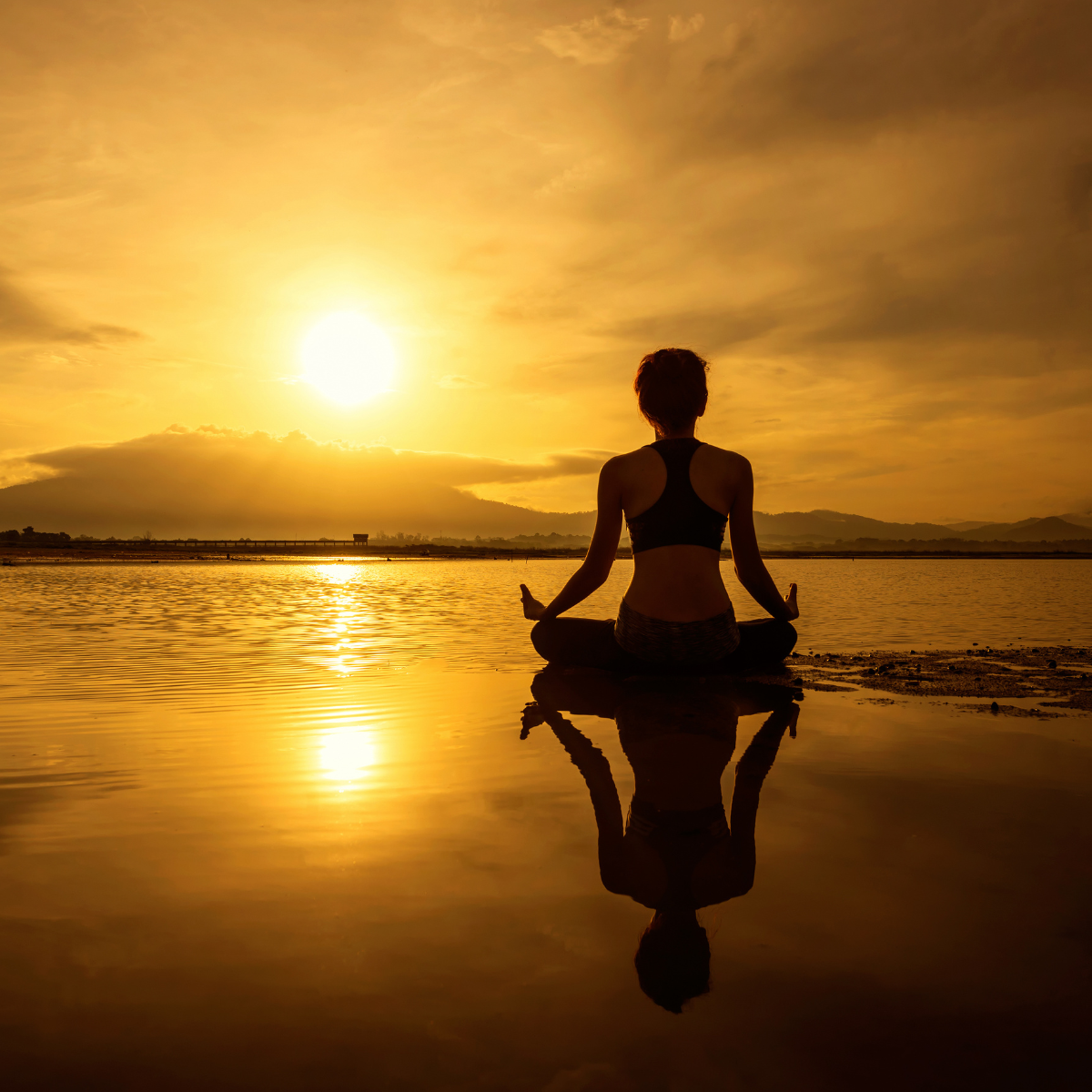 Film om yogaretreat